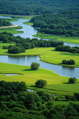 Aerial view of the river and meadows. Summer landscape.の素材