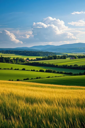 Beautiful summer landscape with rolling hills and blue sky with white cloudsの素材