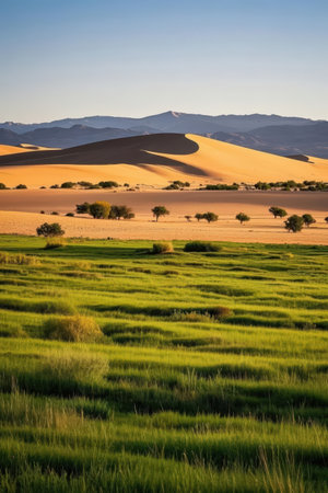 Desert landscape in Maspalomas, Gran Canaria, Canary Islands, Spainの素材