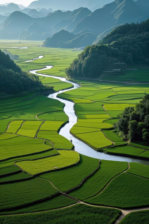 Green Terraced Rice Field in Wuyuan, Jiangxi, Chinaの素材