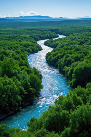 Aerial view of the mountain river in the middle of green forestの素材