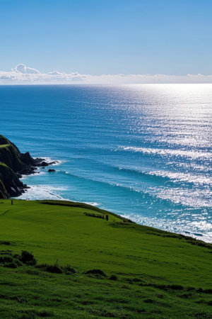 Beautiful seascape with green grass and blue ocean in the backgroundの素材
