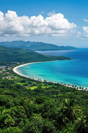 Aerial view of tropical beach with palm trees and turquoise seaの素材