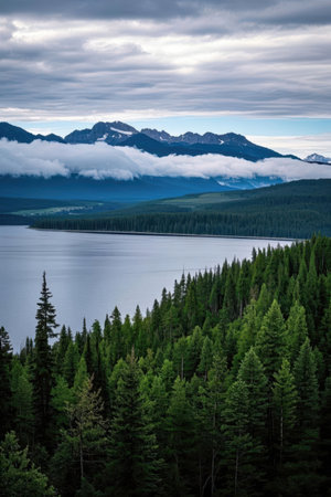 Mountains in Glacier National Park, Montana, United States of Americaの素材