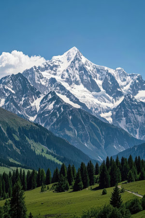 Mountain landscape in the summer. Caucasus, Dombay.の素材