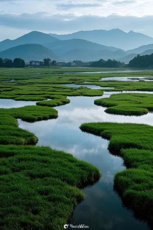 Rice field in the morning at Mae Hong Son, Thailand.の素材