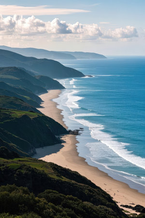 Aerial view of the beach on the north coast of New Zealandの素材