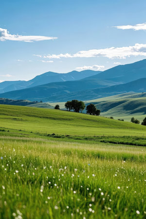Meadow with green grass and blue sky in Tuscany, Italyの素材