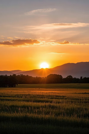 Sunset over the rice field in the countryside of Chiang Mai, Thailandの素材