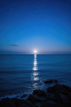 beautiful seascape at night with starry sky and moonの素材