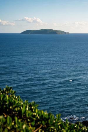 Coastline of the island of Coromandel, New Zealandの素材