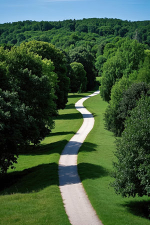 Path in the park with green grass and trees on a sunny dayの素材