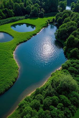 Aerial view of a lake surrounded by green trees in the summerの素材
