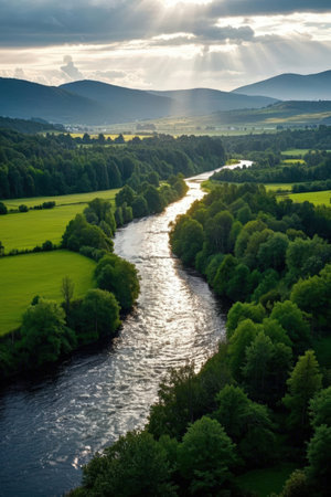 Beautiful summer landscape with river and forest. View from above.の素材