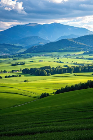 Beautiful summer landscape in the Carpathian mountains. Ukraine, Europe.の素材