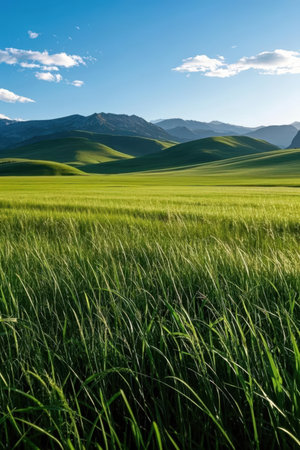 Green meadow and mountains in the background, Kyrgyzstanの素材