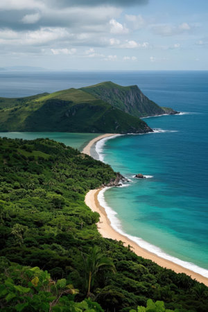 Aerial view of the beautiful beach on the island of Coromandelの素材