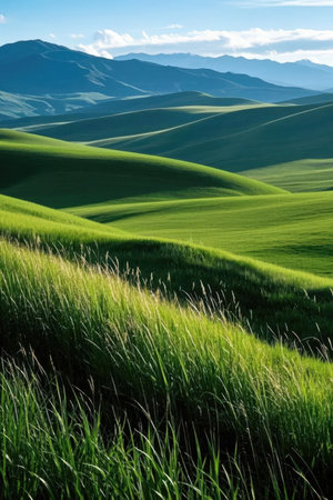 Rolling hills in Tuscany, Italy. Summer landscape.の素材