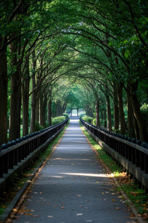 A walkway in the park with trees in the background, in Shenzhen, China.の素材