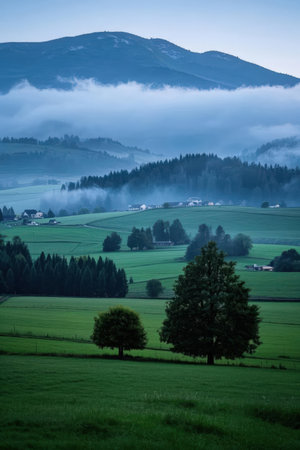 Misty morning in the mountains. Carpathians, Ukraine, Europeの素材