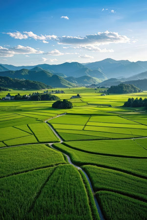 Rice fields in the countryside of Nagano Prefecture, Japan.の素材