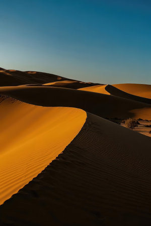 the empty quarter and outdoor sand dune in oman old desert rub al khaliの素材