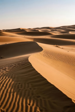 the empty quarter and outdoor sand dune in oman old desert rub al khaliの素材