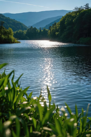 Beautiful summer landscape with river and forest. Blue sky and sun.の素材