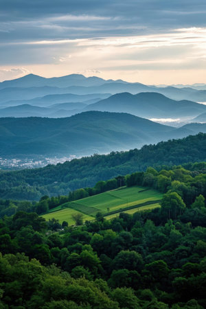 Beautiful summer landscape in the mountains. View from the hill.の素材