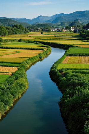 Rice field in south korea,Gyeongju\\"\"\""の素材