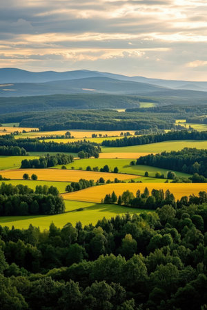 Aerial view of summer landscape with fields and forests in Czech Republicの素材