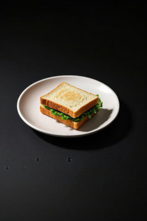 Sandwich with lettuce and tomato on a white plate on a black backgroundの素材