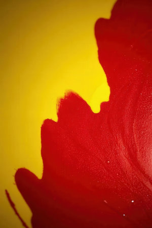 abstract background of red paint on a yellow paper close-upの素材