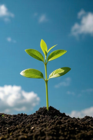 Green seedling growing from seed on blue sky background, ecology conceptの素材