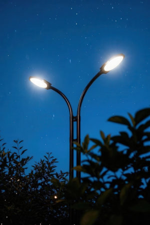 Night view of street lamp in the garden with starry sky.の素材