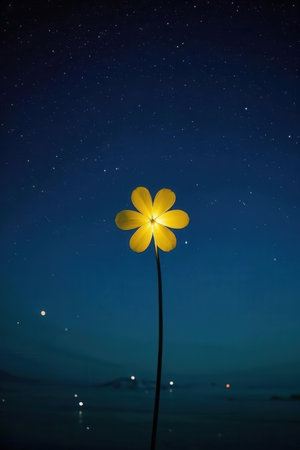 Night starry sky with yellow flower in front of the sea.の素材