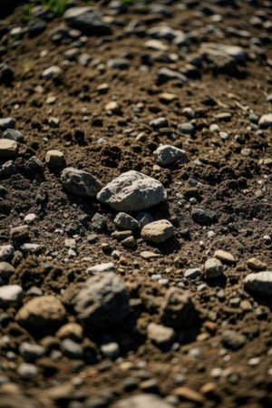 Rocks and stones in the soil. Stones on the ground.の素材