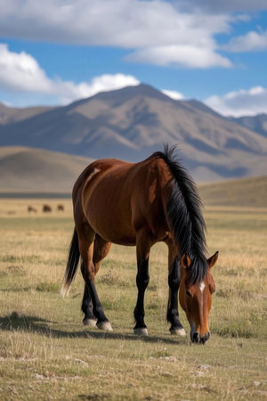 Horse in the prairie in the spring time. Mongolia.の素材