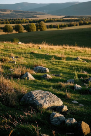 Beautiful mountain landscape with green meadow, rocks and trees.の素材