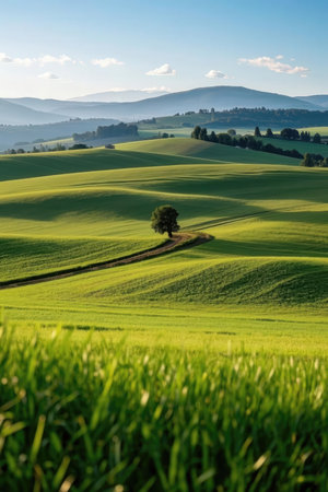Tuscany landscape with green fields and lonely tree, Italy.の素材