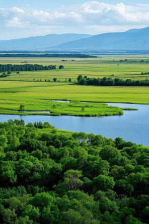 Aerial view of river and forest. Beautiful summer landscape. View from above.の素材