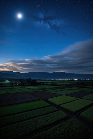 Rice field in the night with full moon and starry skyの素材