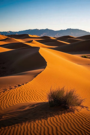 Sand dunes in Maspalomas, Gran Canaria, Canary Islands, Spainの素材
