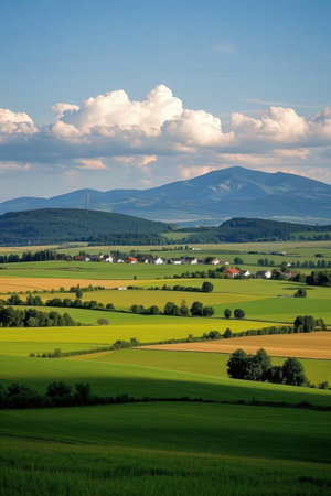 Landscape with green fields, blue sky and mountains in the backgroundの素材