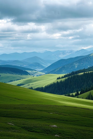 Mountain meadow in the Carpathian Mountains, Ukraine.の素材