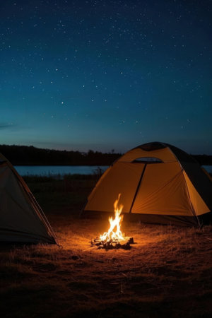 Camping in the forest at night with a bonfire and tentの素材