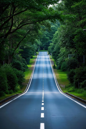 Beautiful road in the park with trees and green grass background.の素材