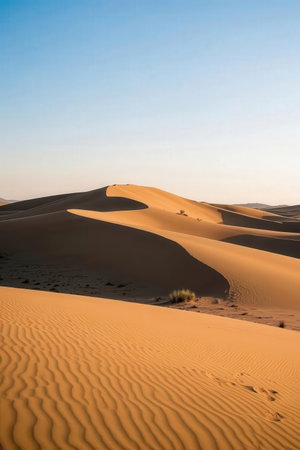 the empty quarter and outdoor sand dune in oman old desert rub al khaliの素材
