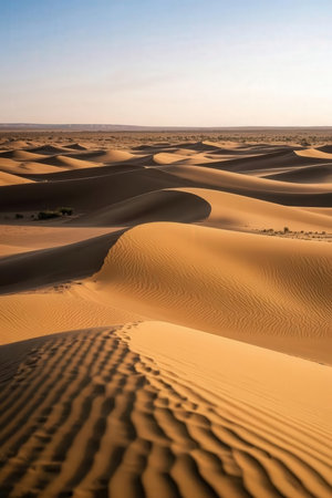 the empty quarter and outdoor sand dune in oman old desert rub al khaliの素材