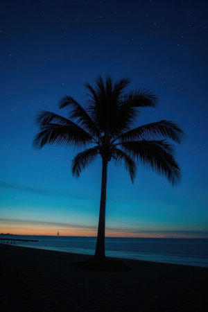 Silhouette of palm tree on the beach at night with starry skyの素材
